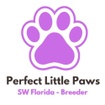 Perfect Little Paws - Florida Breeder
