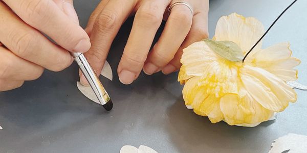 Coloring a yellow wafer peony petal