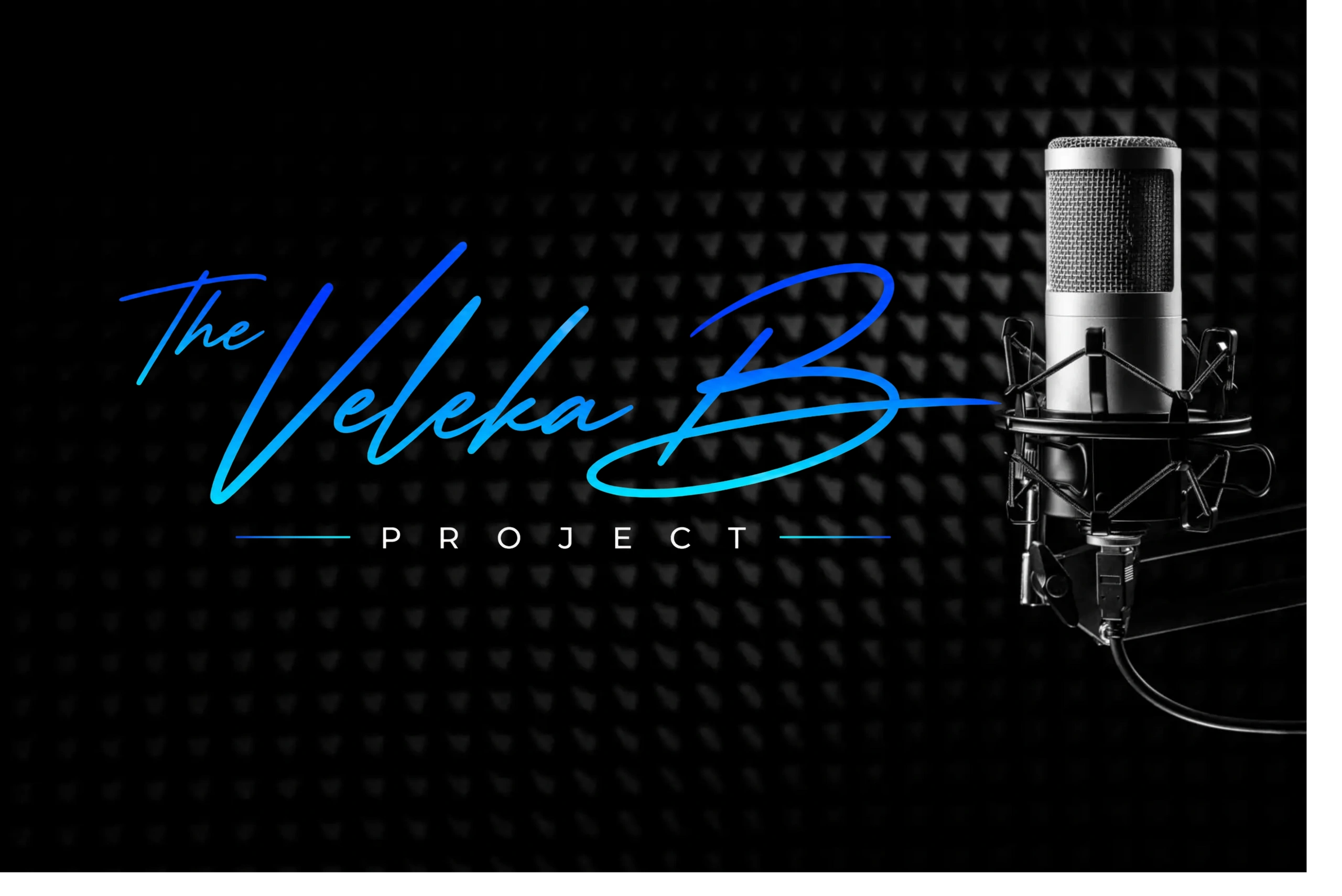 Professional microphone with The Veleka B Project logo on a soundproof background.