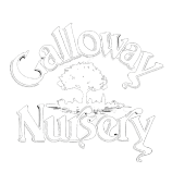 Galloway Nursery