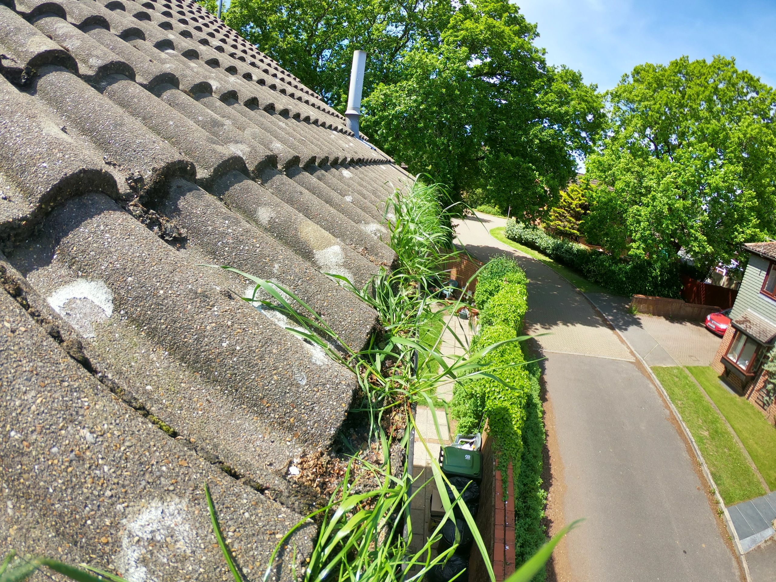Close-up of a gutter clogged with grass and moss, illustrating the need for regular maintenance.