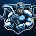 Hockeyshape.com
