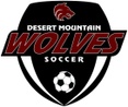 Desert Mountain Boys Soccer
