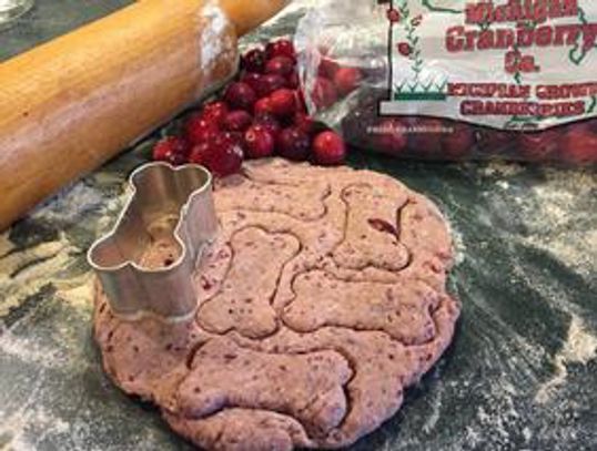 Cranberry Oatmeal Dog Treat dough, dog treat recipes, Four Seasons For Paws