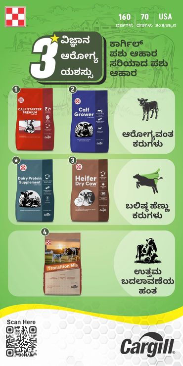Cargill's 4 essential calf and cow health products for dairy farming.