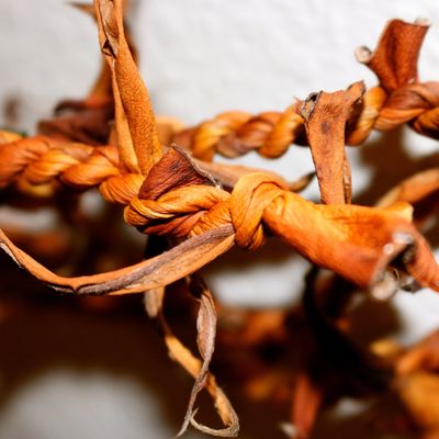 Close-up of twisted, dried orange plant fibers.