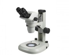Accu-Scope 3075-LED Stereo Microscope