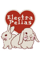 Electra Makes