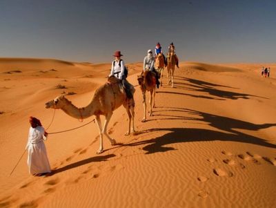 Desert Experience