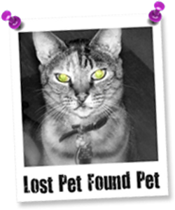 Lost Pet Found Pet LLC