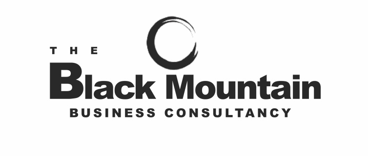 BLACK MOUNTAIN BUSINESS CONSULTANCY LTD 