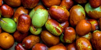 Natural ingredient and Jojoba Seed Oil