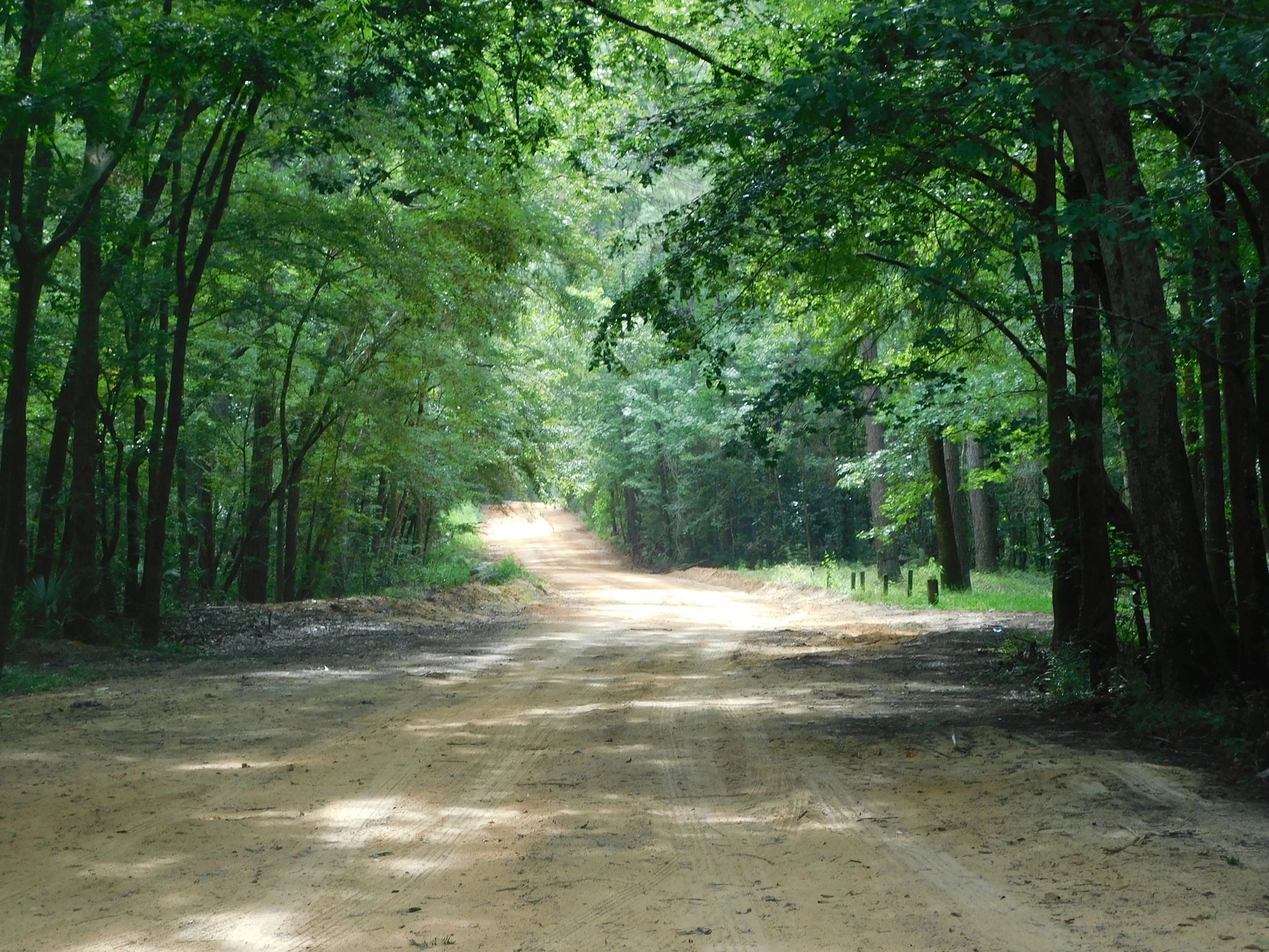 Tall Pines Hunting Club