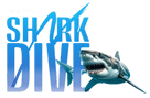 Shark Dive
