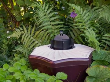 Insect trap in garden foliage.