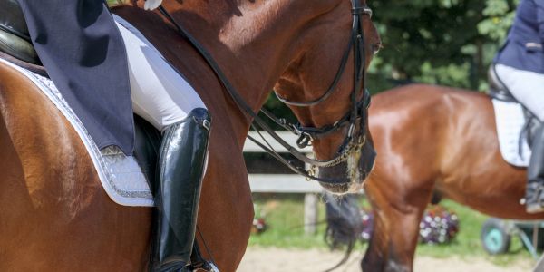 Two riders on brown horses in a riding arena.