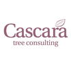 Cascara Tree Consulting