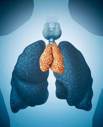 Learn how to strengthen and heal your thymus gland 