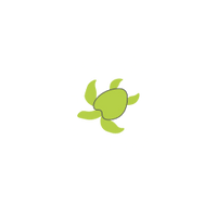 Turtle Funding Foundation