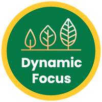 Dynamic Focus 