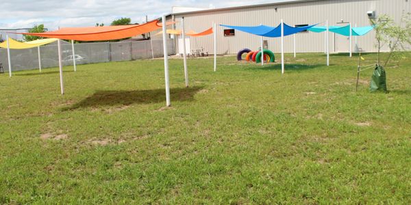 Backyard at Busters Buddies doggy daycare.