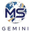 MS Gemini