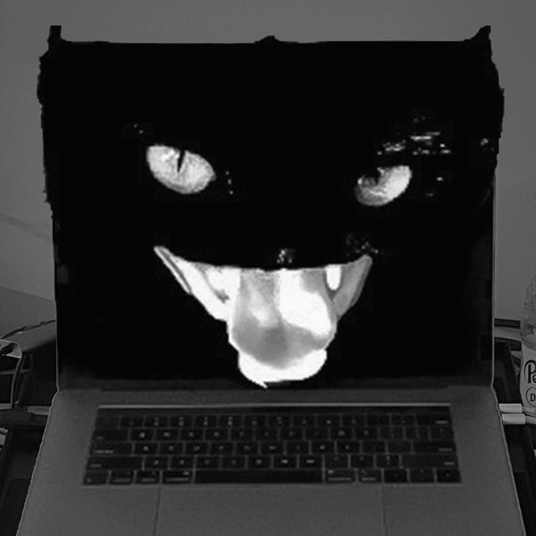 Laptop screen displaying a black cat face with green eyes and tongue out.