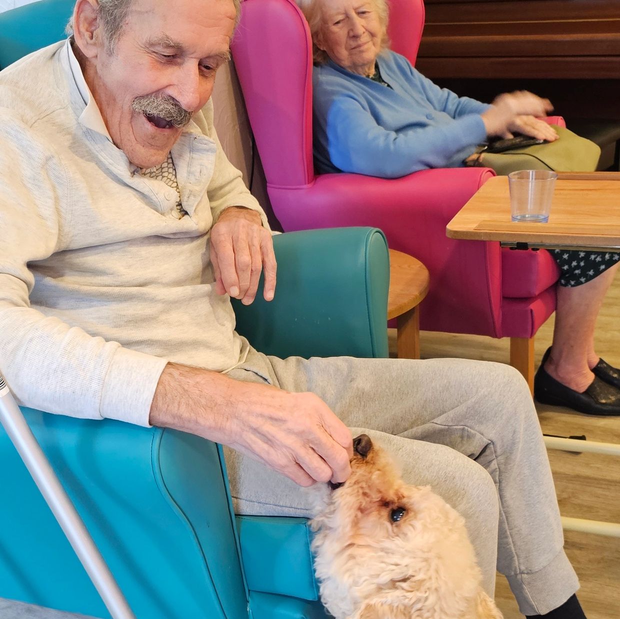 An elderly man happily feeding a small dog while a woman watches from a pink chair.