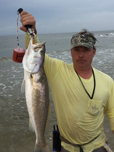 Monster trophy speckled trout 