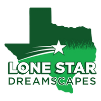 Lone Star Dreamscapes