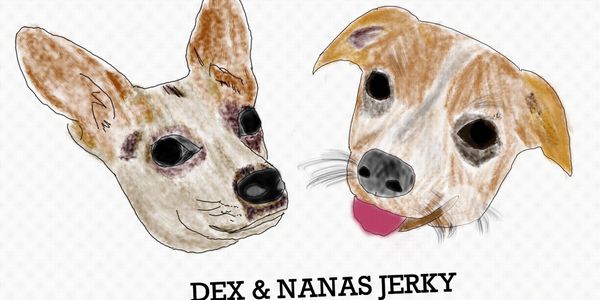 Logo of Dex and Nana Jerky