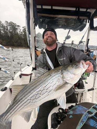 Man proudly holds a large striped bass on a boat.