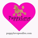 PuppyLove Poodles