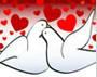 Fly some Love Doves for Your Love Dove