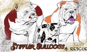 Erik/Angela Stiffler


Stiffler Bulldogs & Rescue