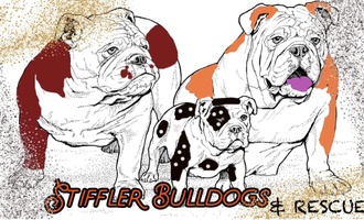 Erik/Angela Stiffler


Stiffler Bulldogs & Rescue