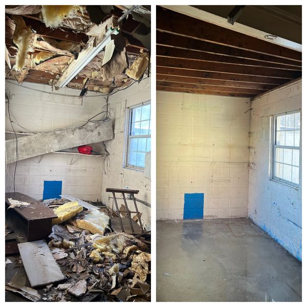 Mold remediation. Issues caused by water damage. Restoration.
