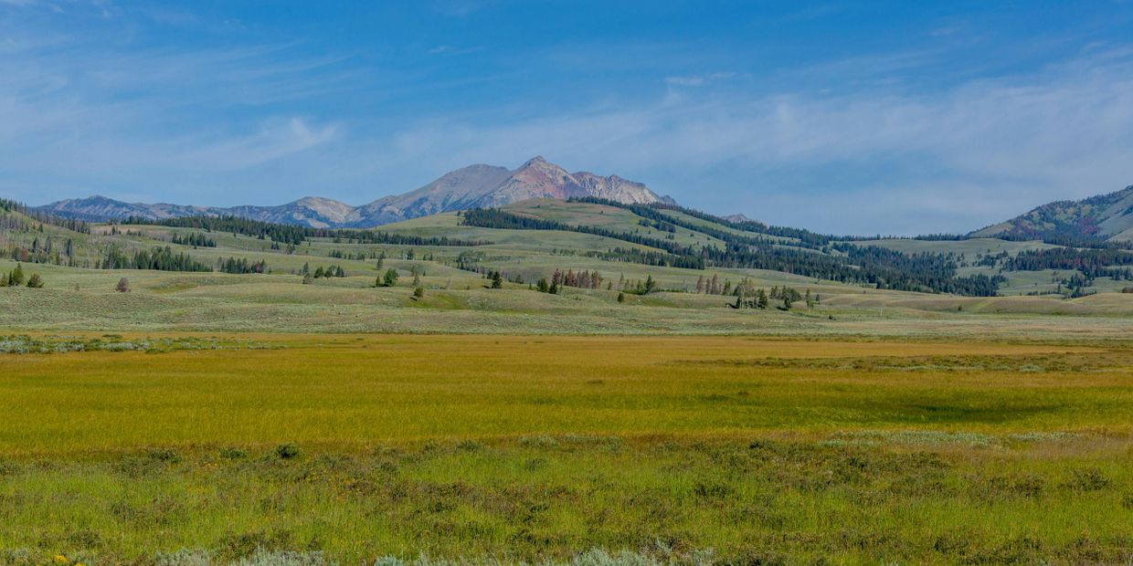 Wide open grassy plain with rolling hills and distant mountains under a blue sky.