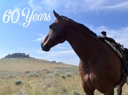 Celebrating 60 Years