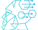CYBER SEGURA