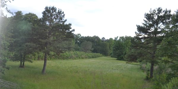 Louisiana Trophy Whitetail Deer Hunts