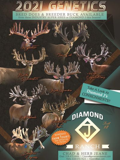 Diamond J Whitetails Deer Breeding