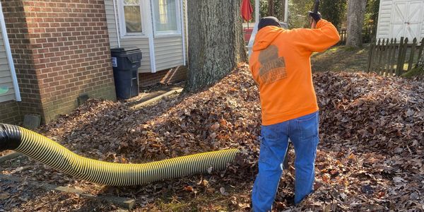 Leaf removal landscaping lawn care lawn service