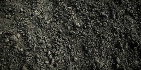 Soil in Northeastern PA 