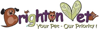 Brighton Vet Surgery