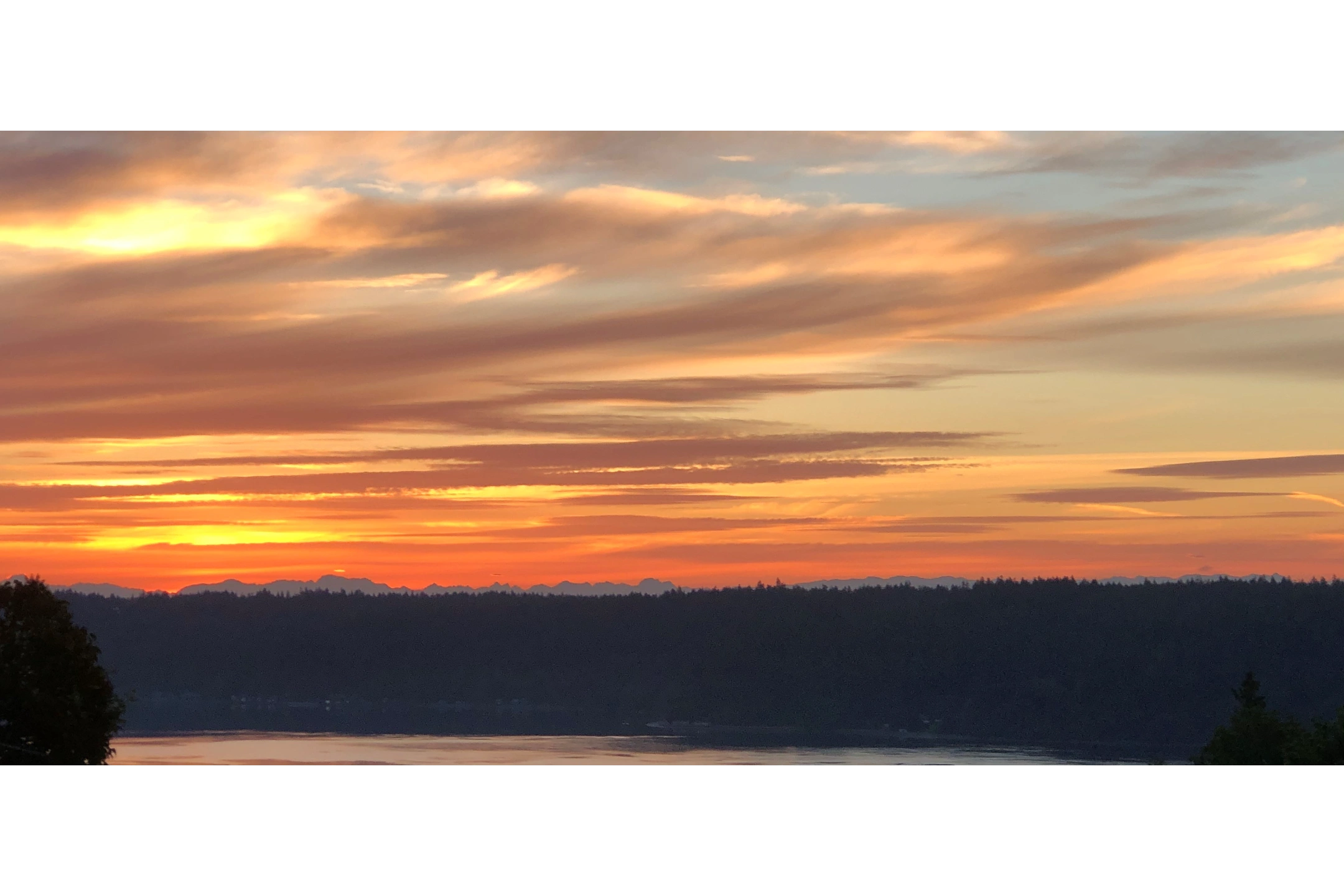 Sunrise in the backyard!