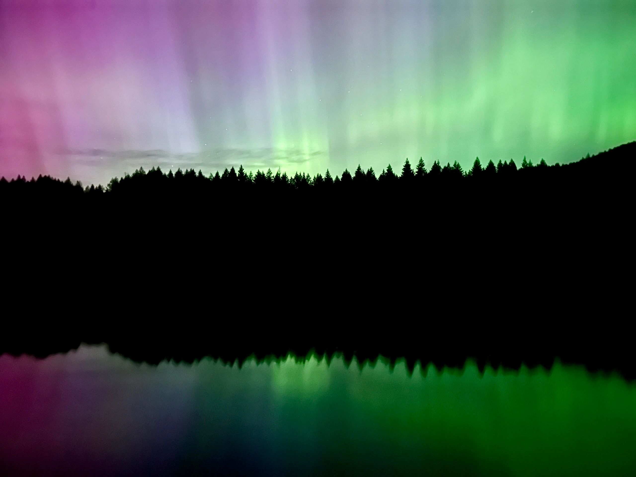 Northern lights illuminate the sky above a forest reflected in water.