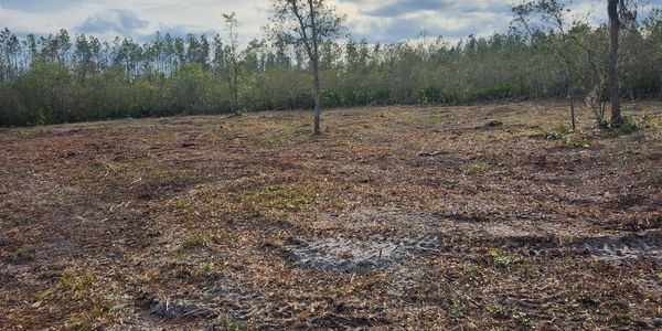 brush mulching 