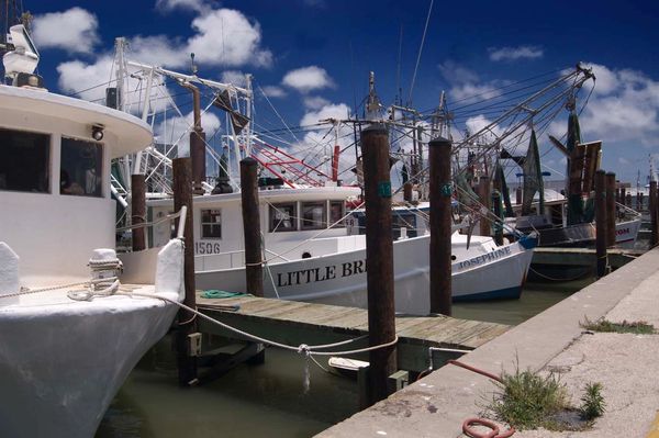 Fishing boats docked at a marina under a bright blue sky.