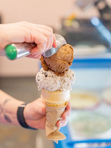 NikNak's 2 scoop cone